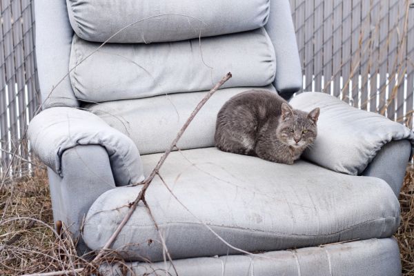 Recliner Disposal in Lebanon